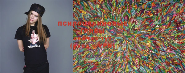 mdma Бородино