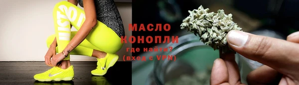 мдпв Инта