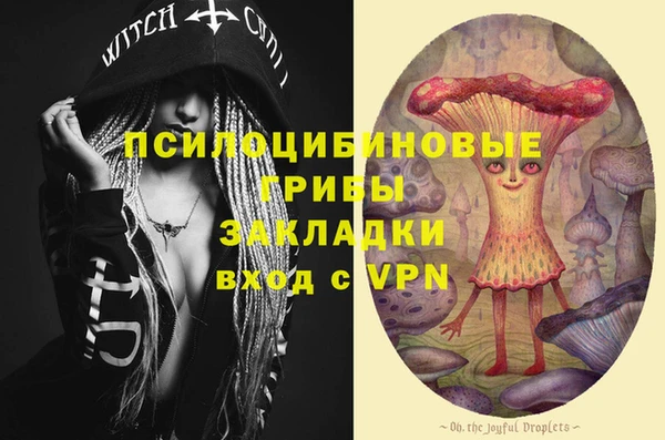 mdma Бородино