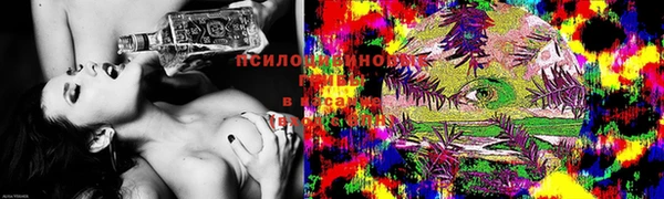 mdma Бородино