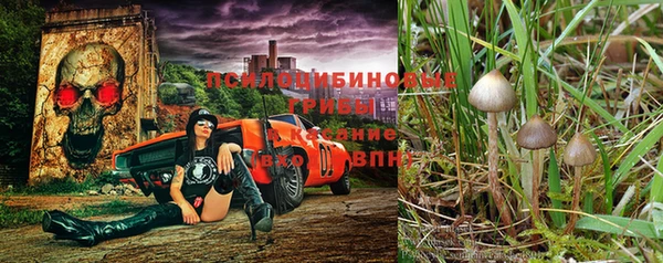 альфа пвп Бугульма
