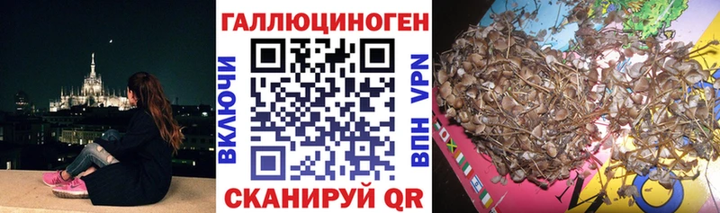 Псилоцибиновые грибы Cubensis  цена наркотик  Демидов 